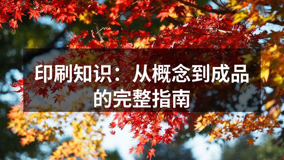 现代印刷工艺的展示